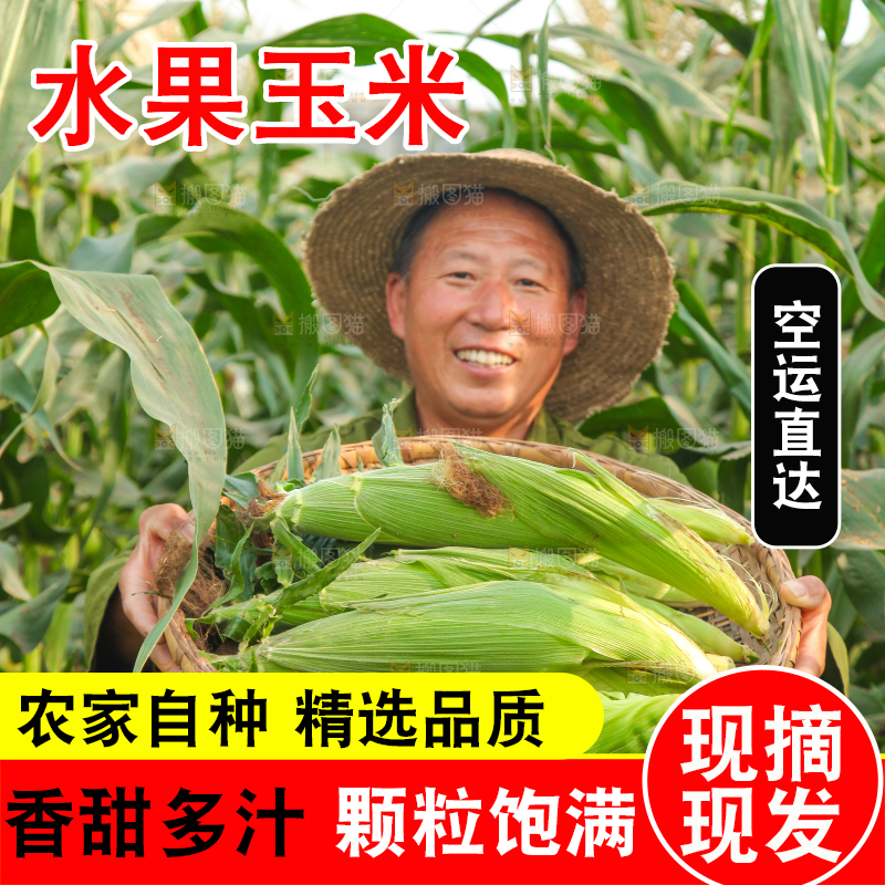 农民抱着一筐玉米
