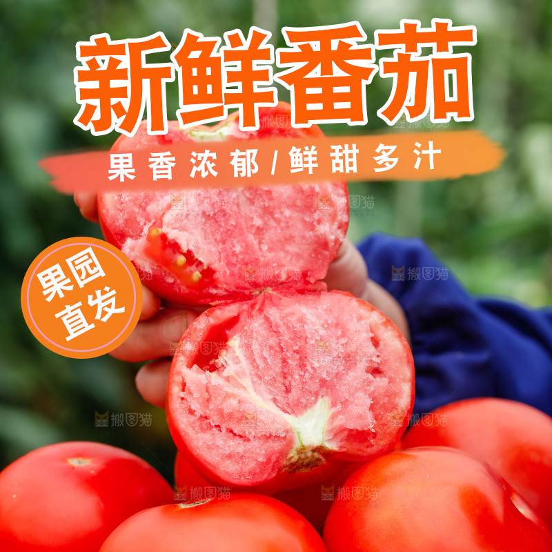 手上拿着沙瓤西红柿