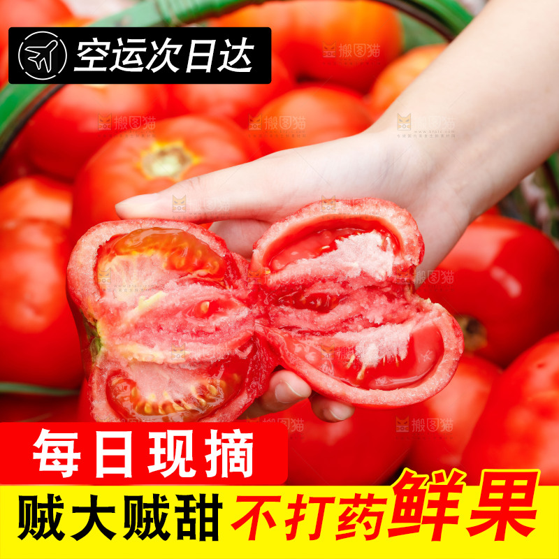 手上拿着掰开的沙瓤番茄