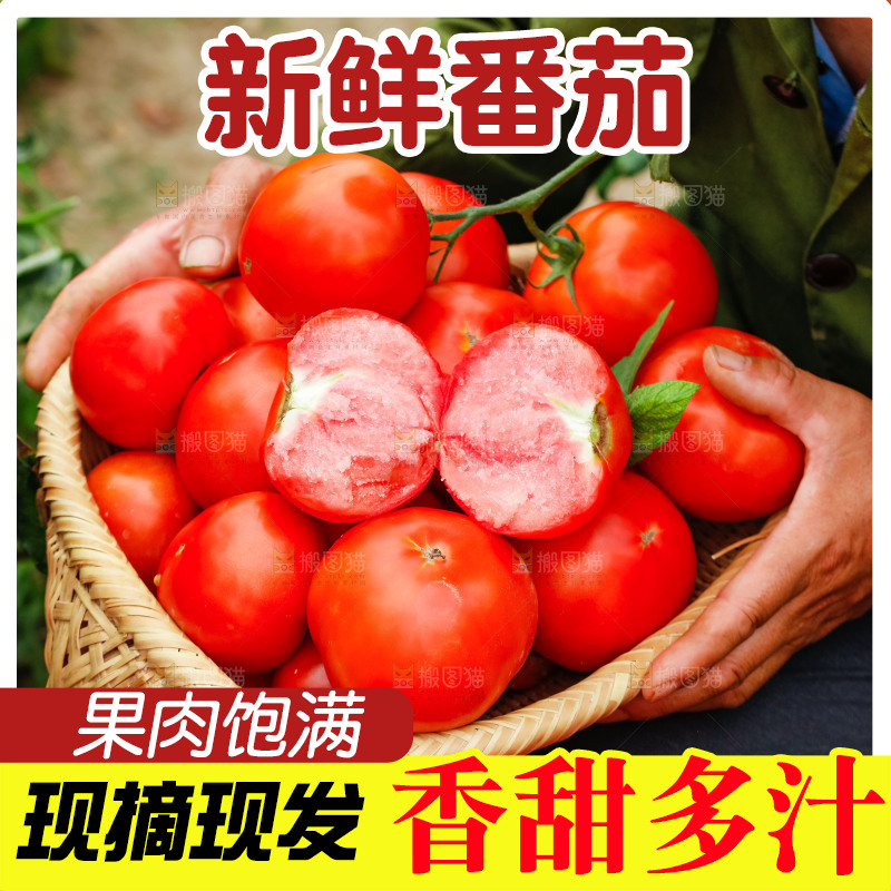 手端着一筐沙瓤西红柿