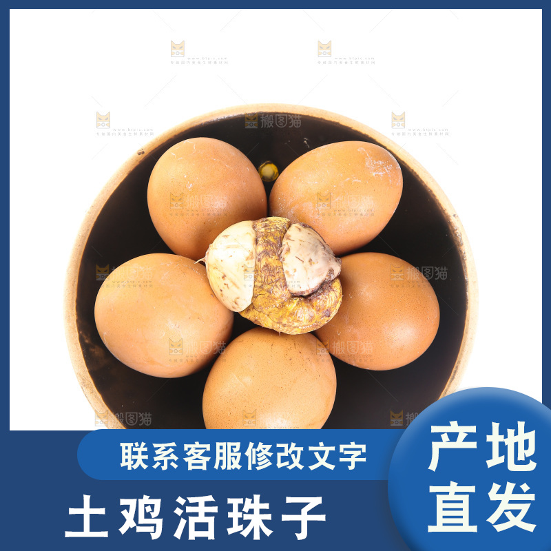 白底上放着一碗活珠子