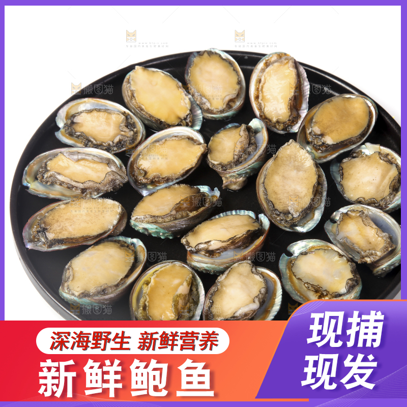 白底上放着一盘鲍鱼