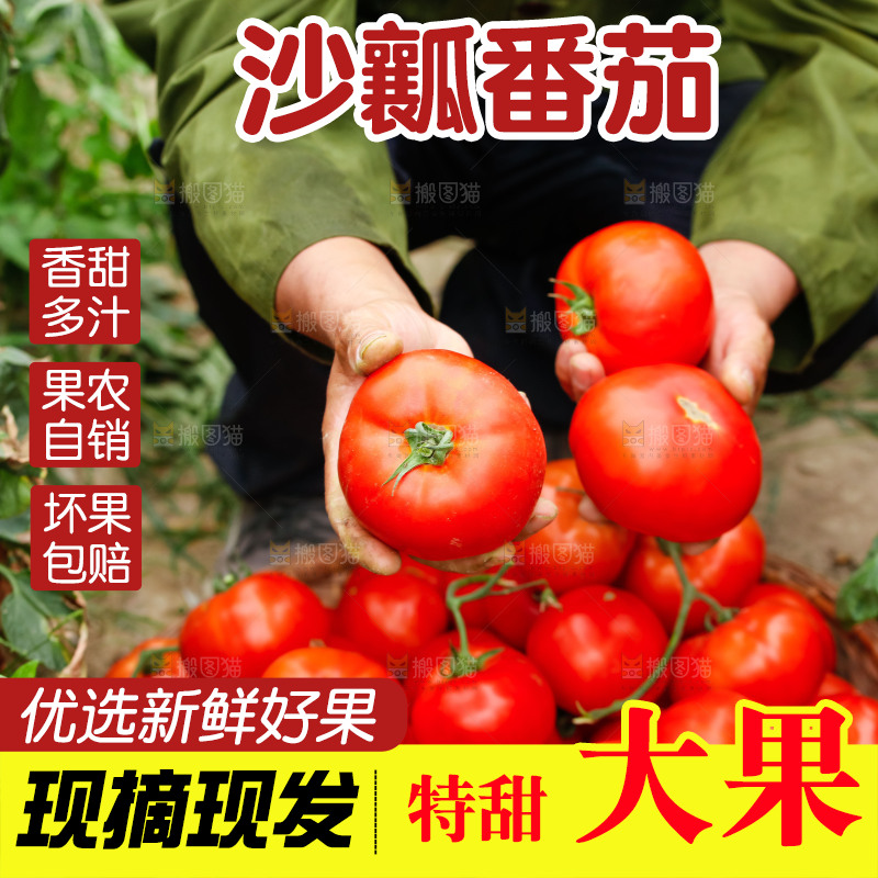手上拿着沙瓤西红柿