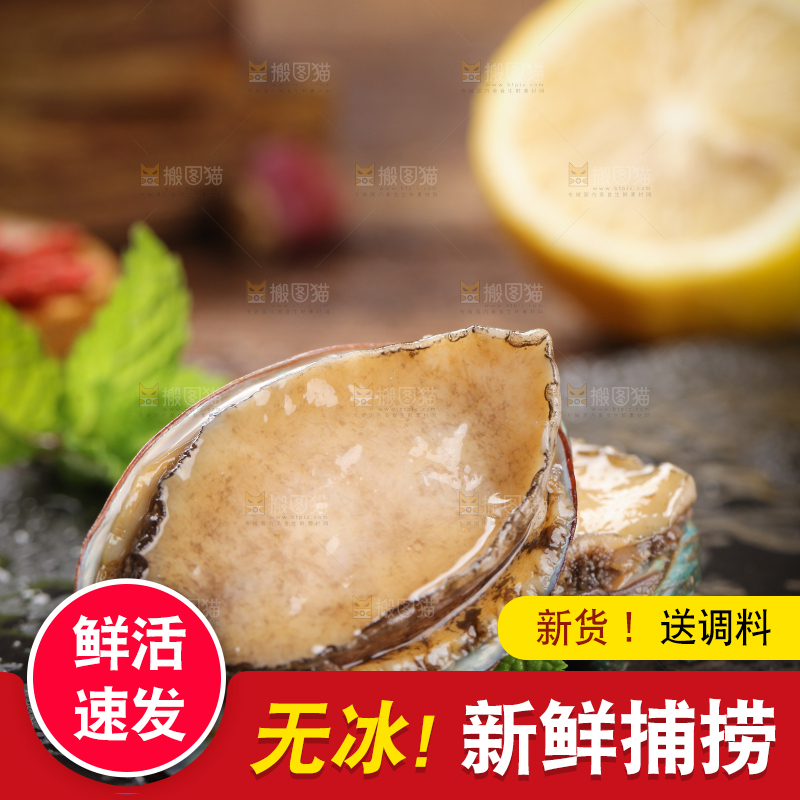 黑底上放着鲍鱼