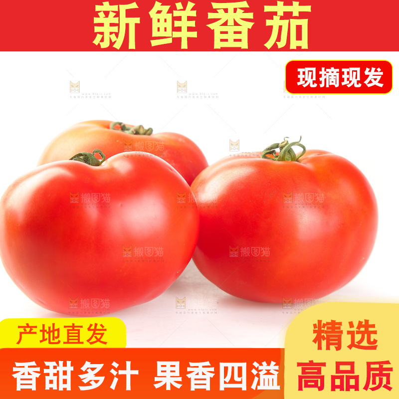 白底上放着西红柿