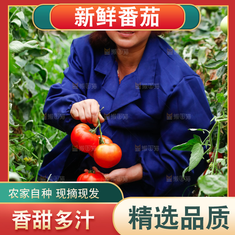 手上拿着西红柿