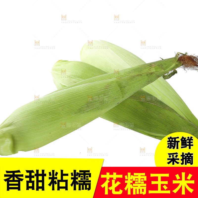 白底上放着一堆花糯玉米