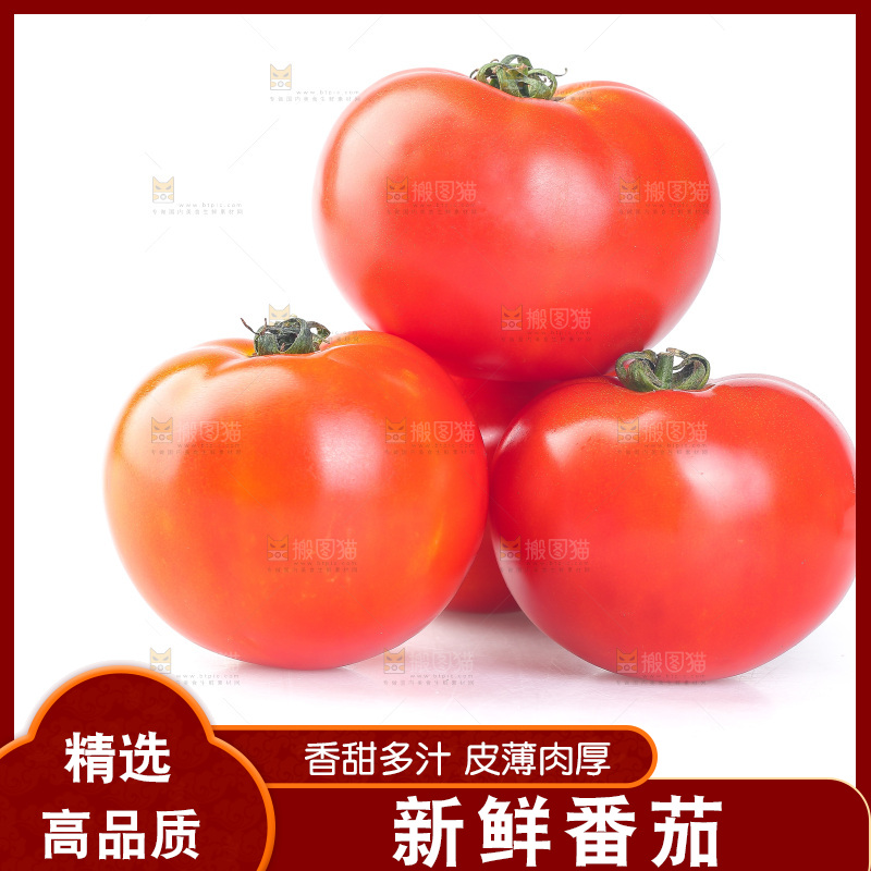 白底上放着一堆番茄
