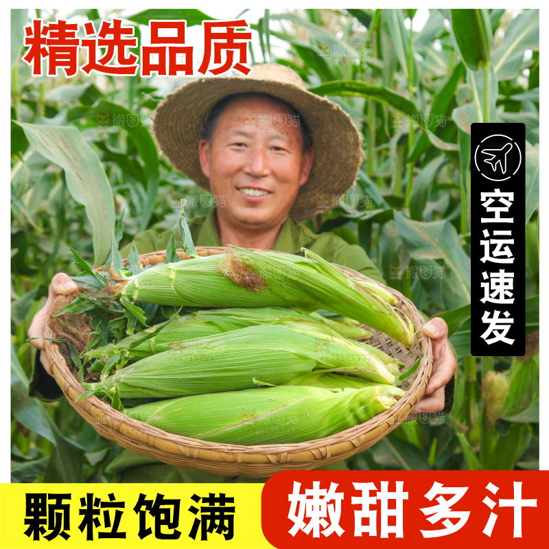 农民抱着一筐玉米