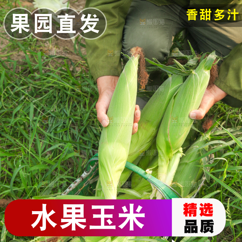 手上拿着水果玉米