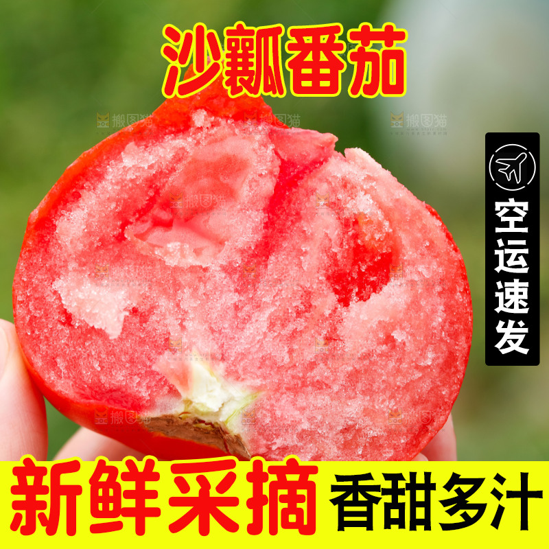 手拿着普罗旺斯西红柿