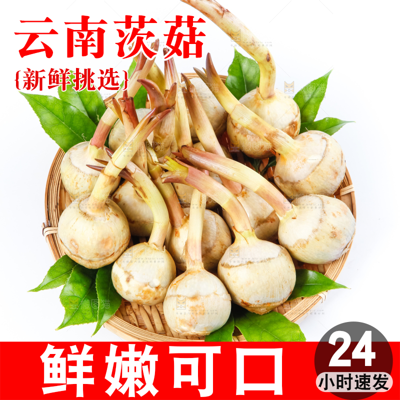 白底上的一盘云南茨菇
