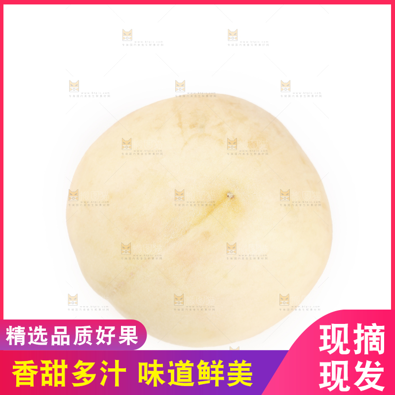 白底上的奶油白桃