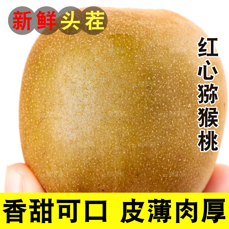 手拿着红心猕猴桃