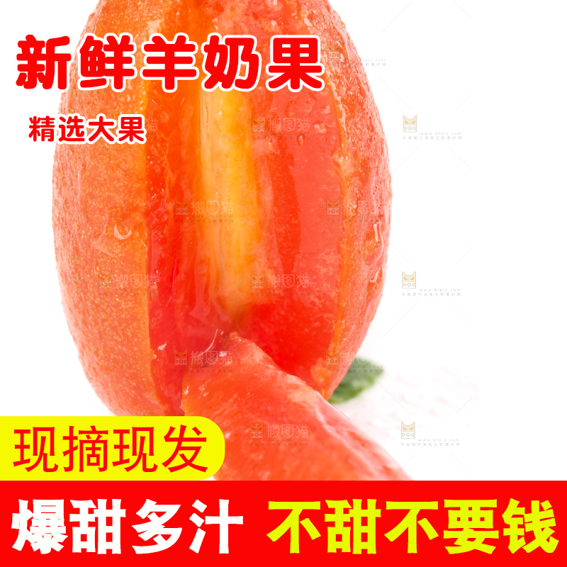 白底上的云南羊奶果