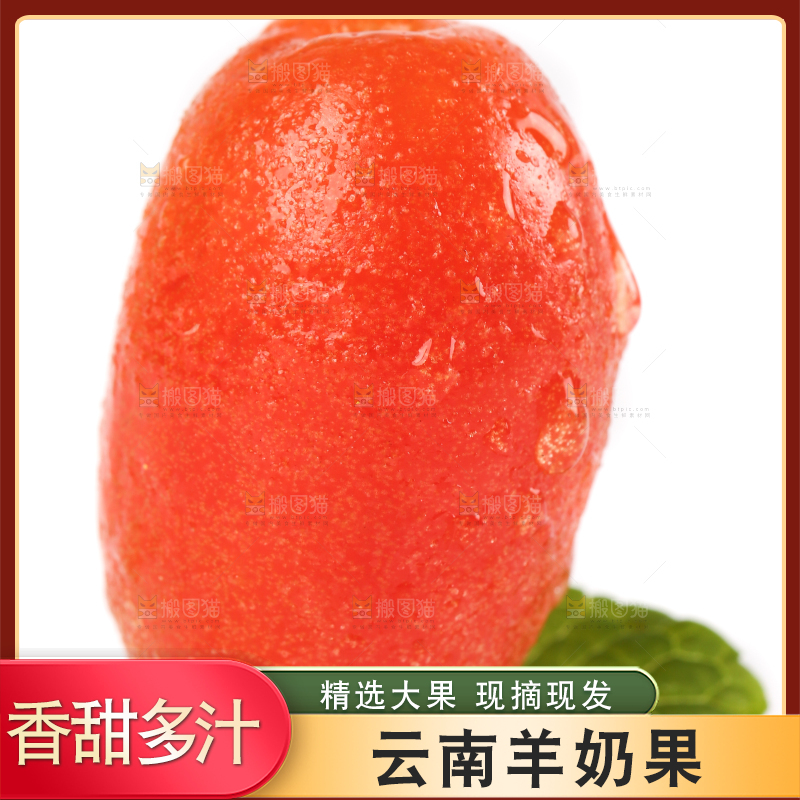 白底上的云南羊奶果