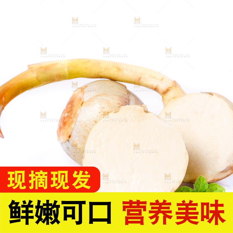 白底上的新鲜茨菇
