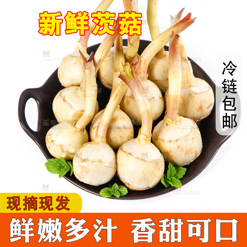 白底上的一盘云南茨菇