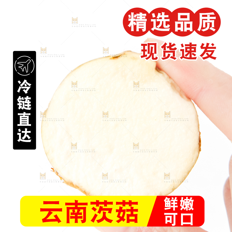 手上拿着新鲜白茨菇