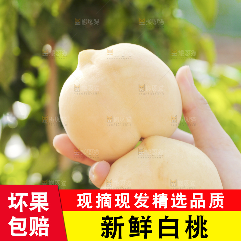 手上拿着奶油大白桃