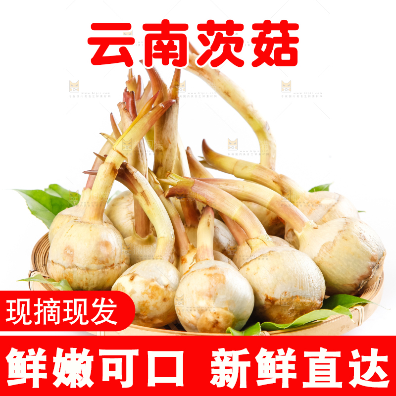 白底上的一盘云南茨菇