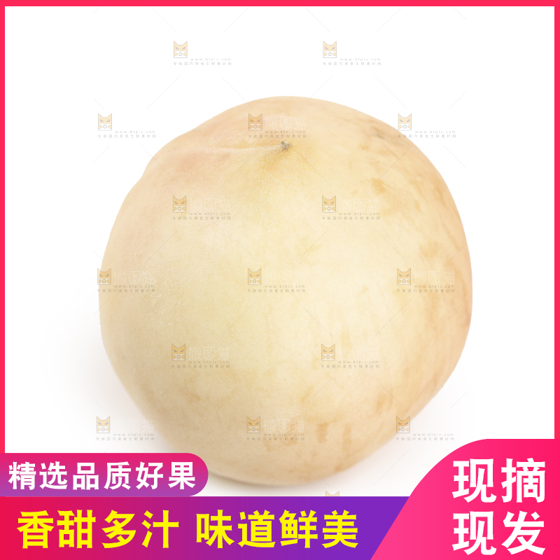 白底上的奶油白桃