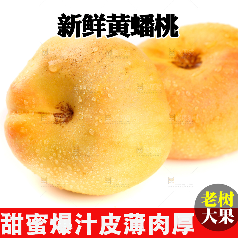 白底上的黄金油蟠桃