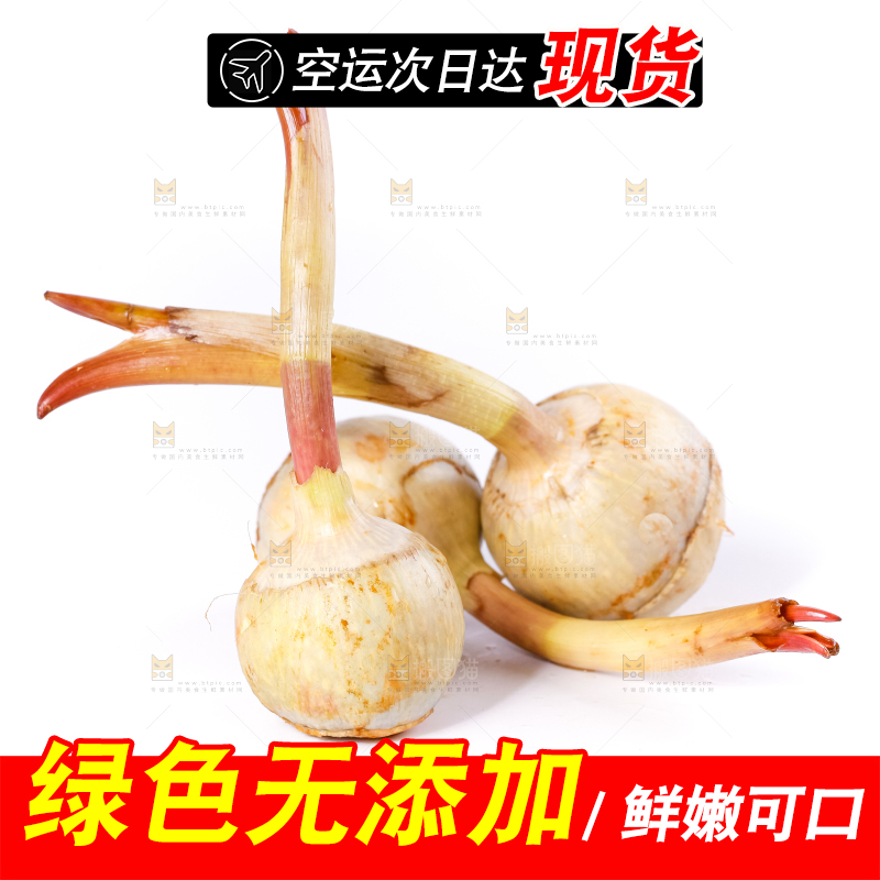 白底上的新鲜茨菇