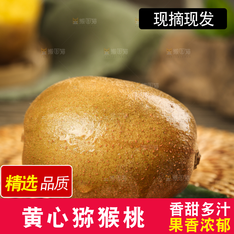 深底上的黄心猕猴桃