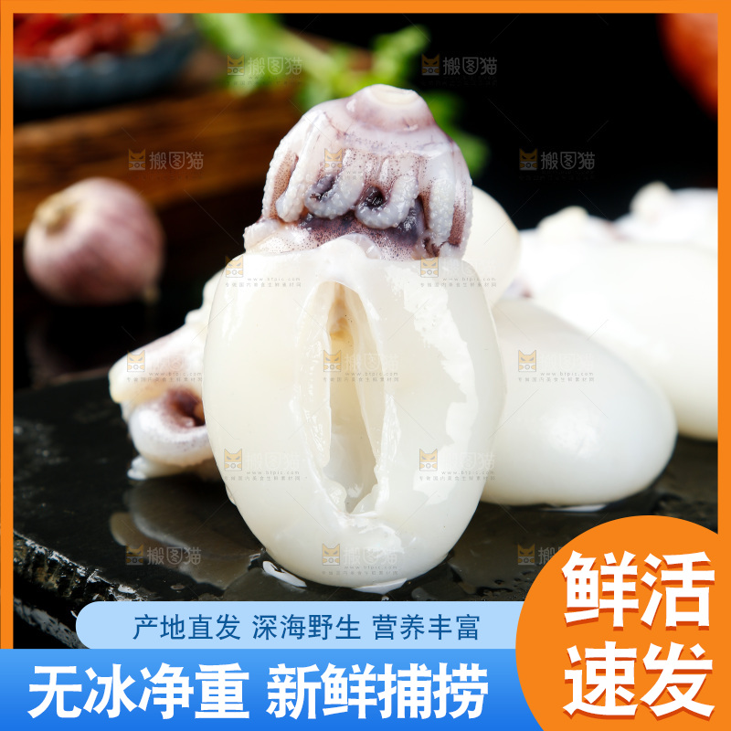 黑底上的新鲜墨鱼仔