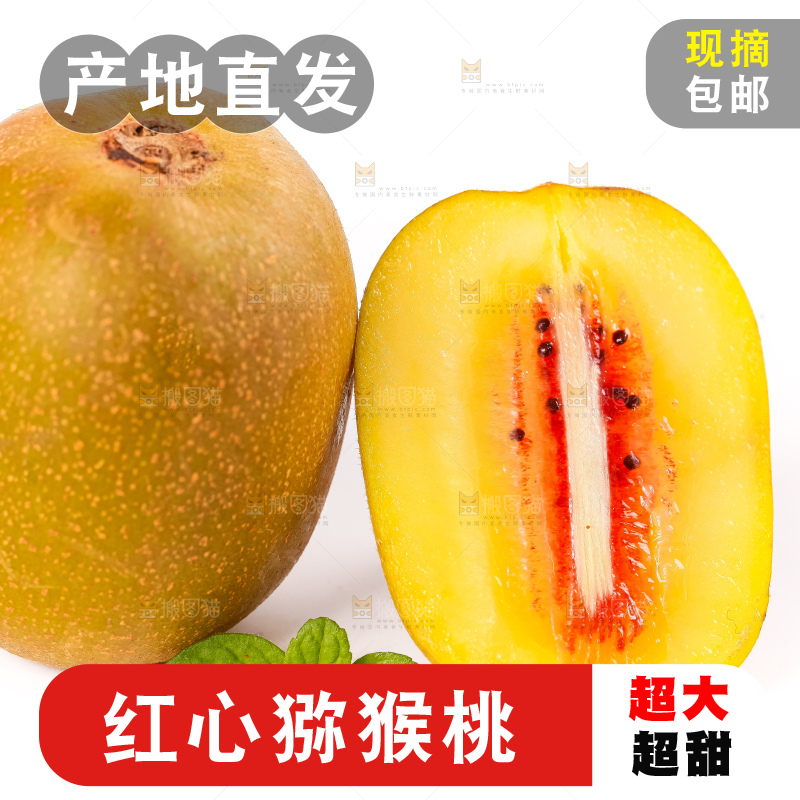白底上切片的红心猕猴桃