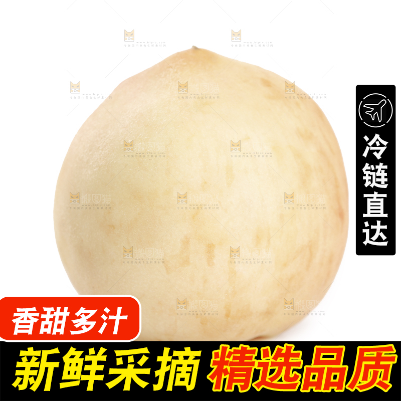 白底上的奶油白桃