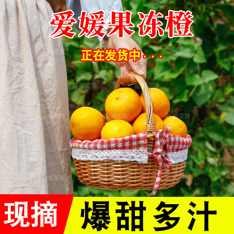 手里提着一篮爱媛38号果冻橙