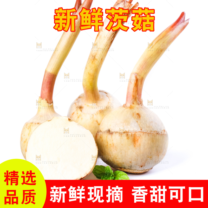 白底上的新鲜茨菇