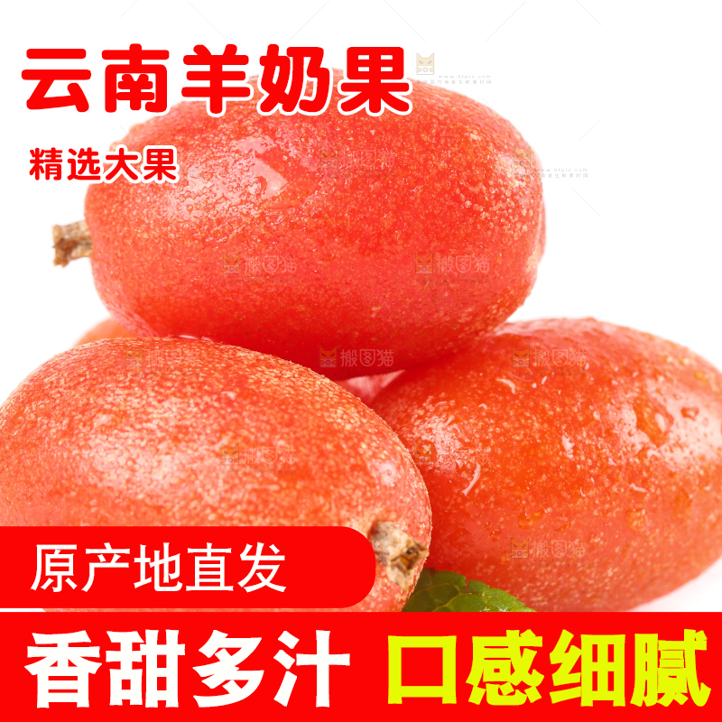 白底上的云南羊奶果