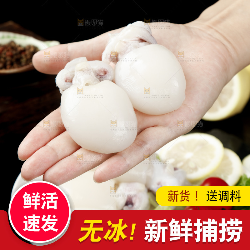手里拿着小墨鱼