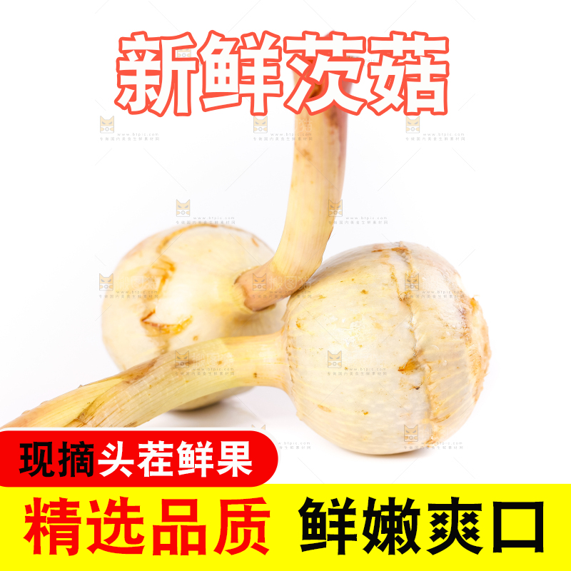 白底上的新鲜茨菇