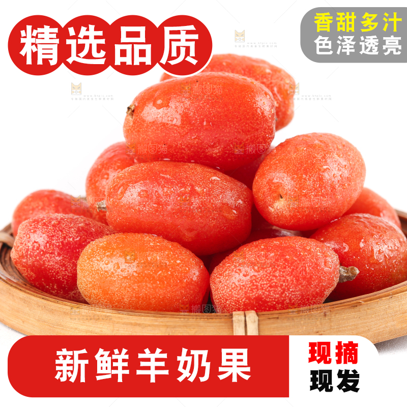 白底上的一篮羊奶果