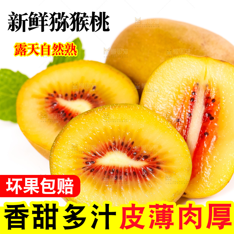 白底上切片的红心猕猴桃