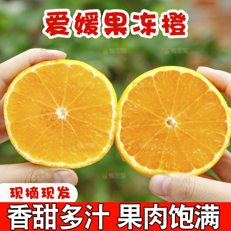 两个切面的爱媛