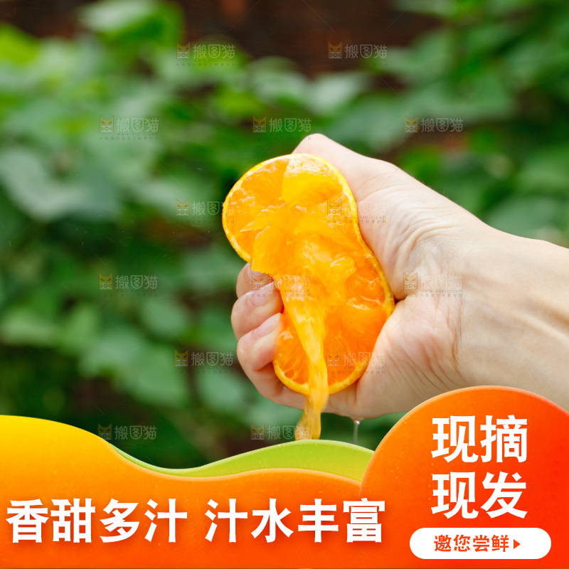 爆汁的爱媛果冻橙