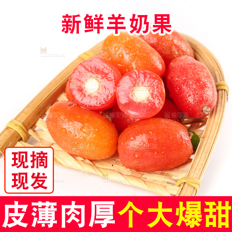 白底上的一篮羊奶果