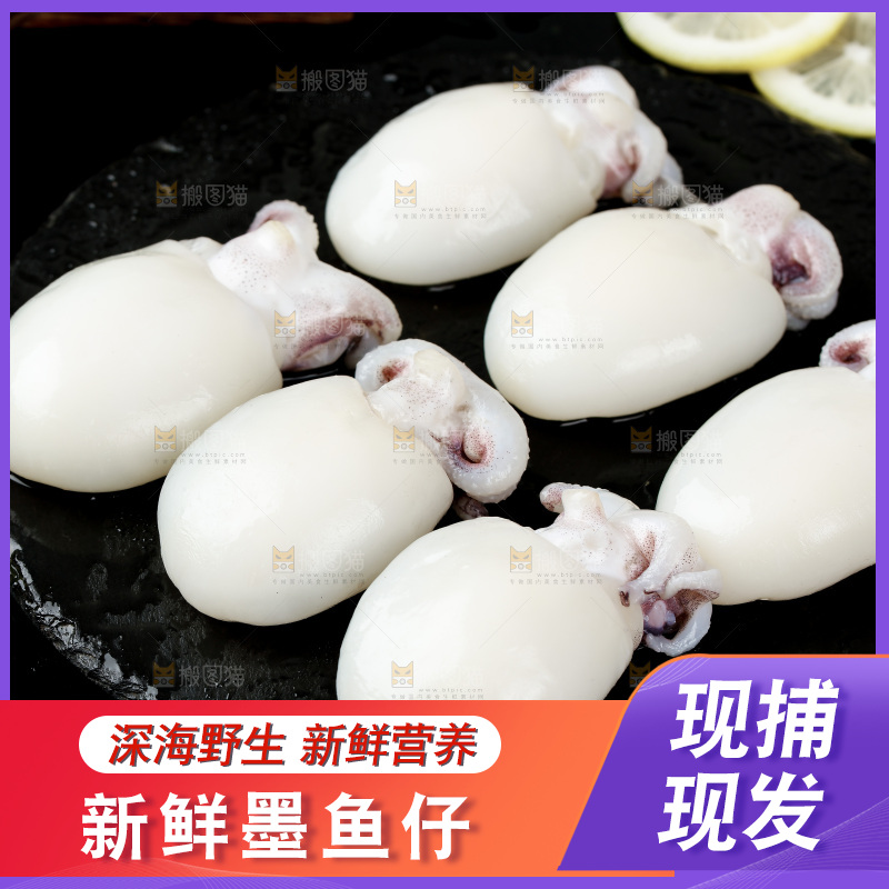 黑底上摆放着小乌贼