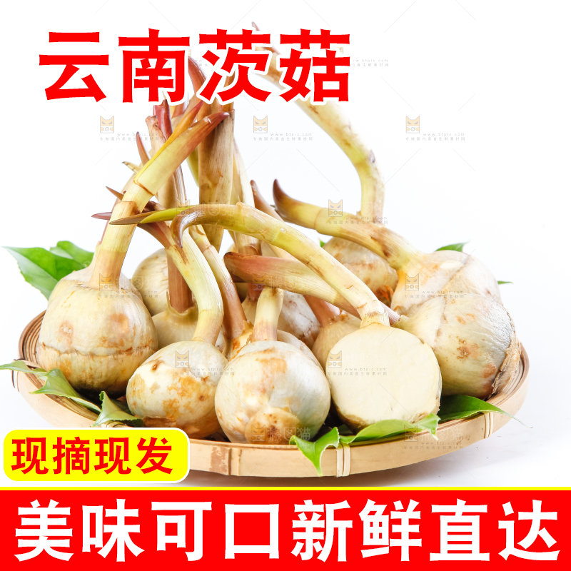 白底上的一盘云南茨菇