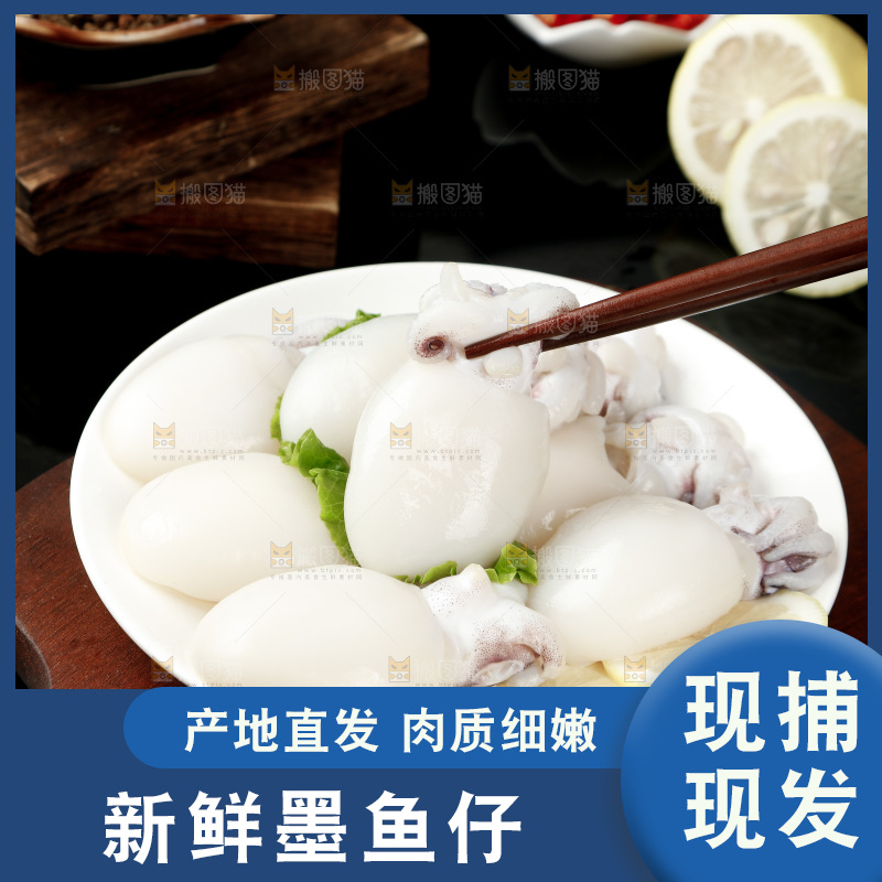 筷子上夹着小墨鱼仔