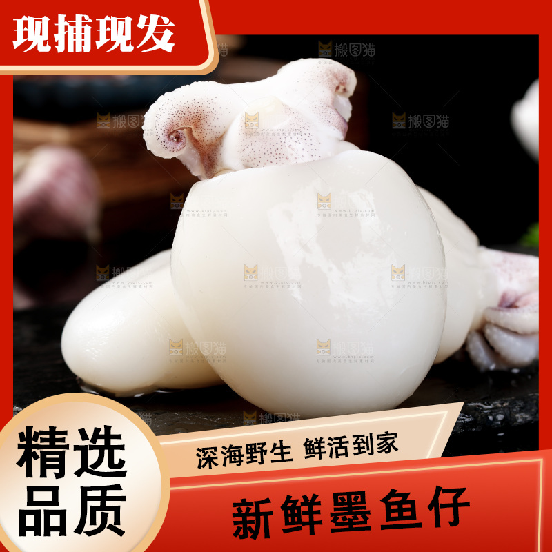 黑底上的新鲜墨鱼仔