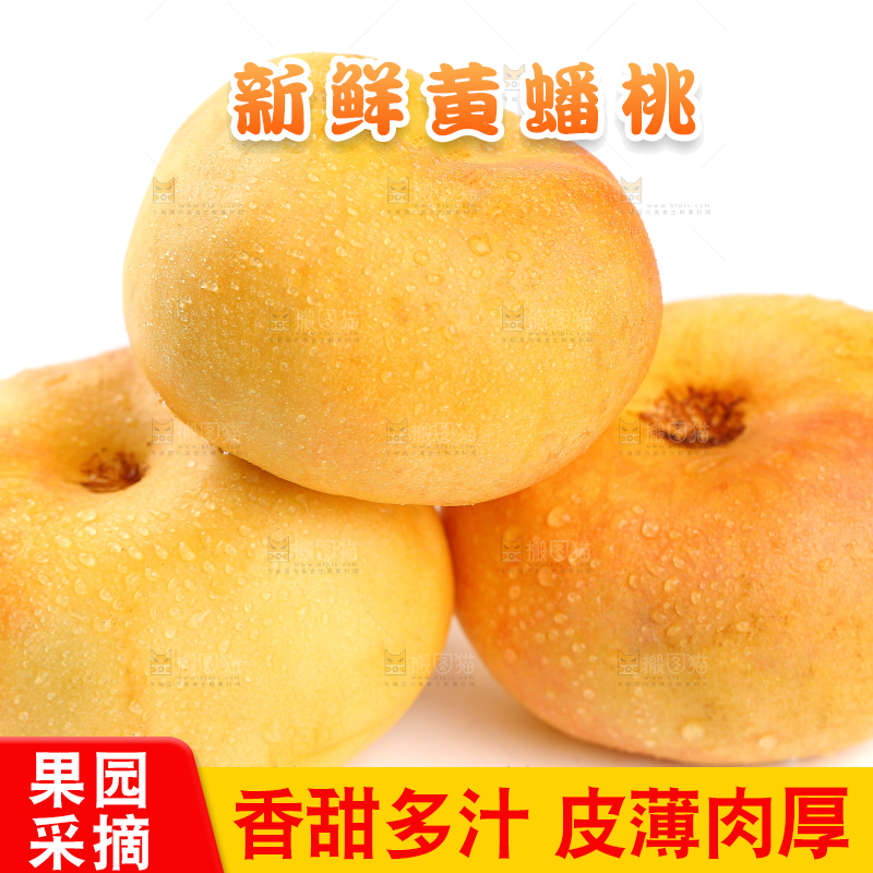 白底上的黄金油蟠桃
