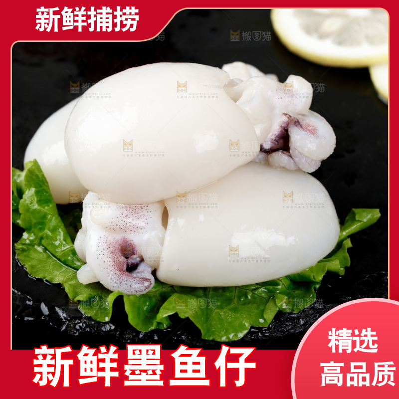 黑底上的鲜冻墨鱼仔
