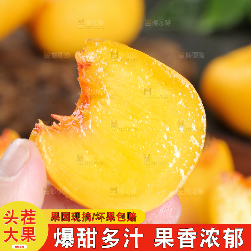 手上拿着黄蟠桃果肉