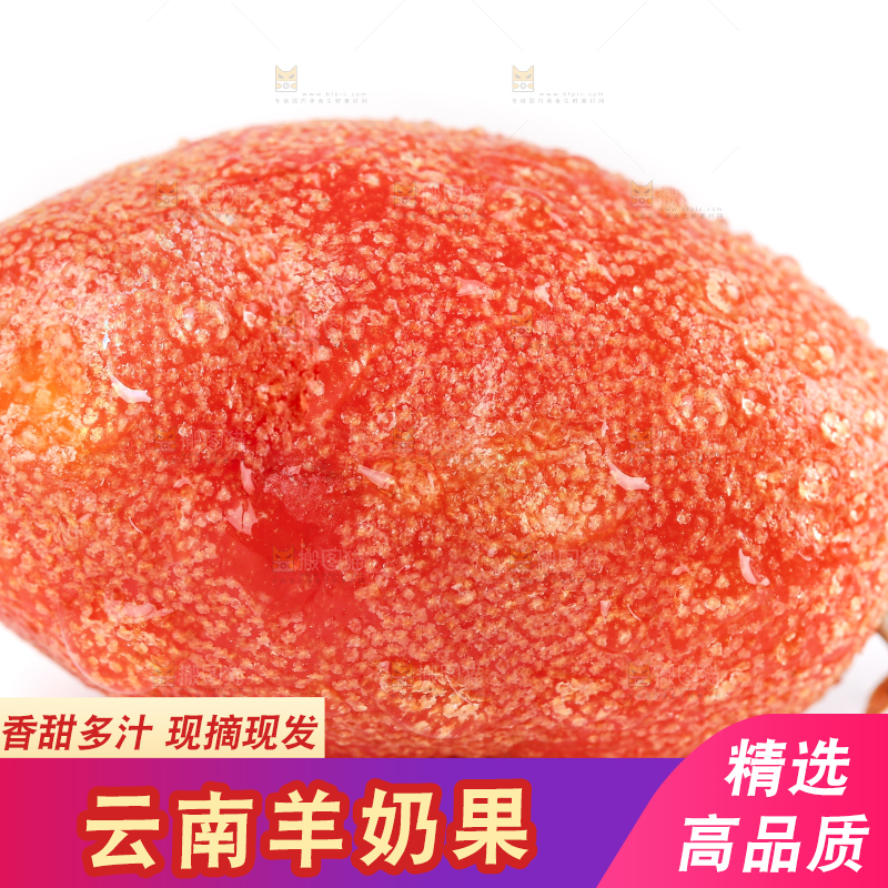 白底上的云南羊奶果
